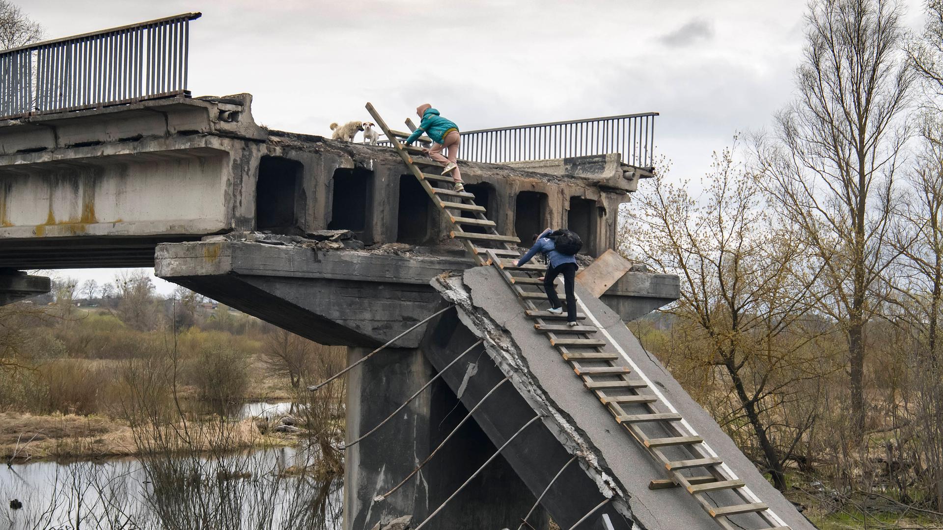 Zwei Ukrainer auf der Flucht klettern eine Leiter auf einer zerstörten Brücke hoch, Kukhari am 19.04.2022. Zwei Ukrainer auf der Flucht klettern eine Leiter auf einer zerstörten Brücke hoch, Kukhari am 19.04.2022.