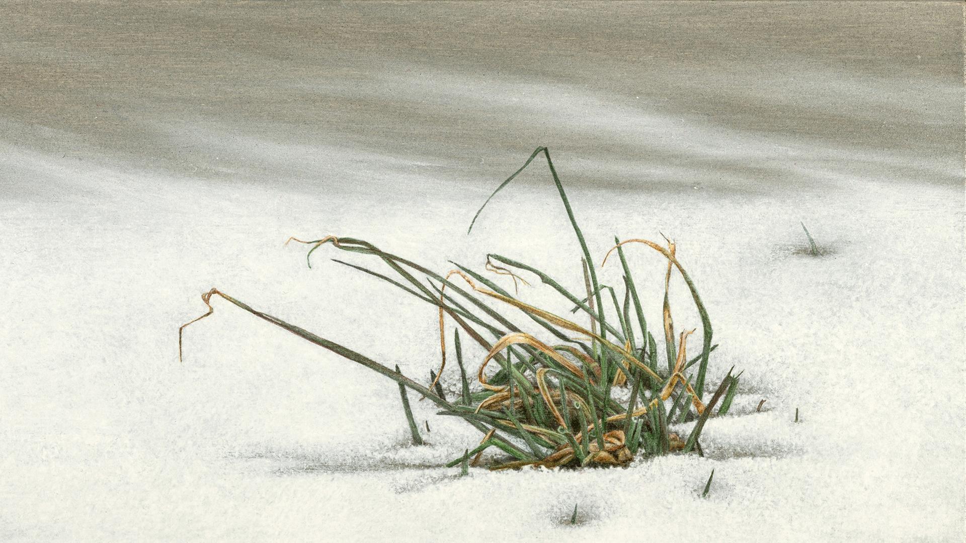 Brandeln I - Acryl auf Holz 2021. Zu sehen: Gräser schauen aus einer Schneedecke hervor. Brandeln I - Acryl auf Holz 2021. Zu sehen: Gräser schauen aus einer Schneedecke hervor.