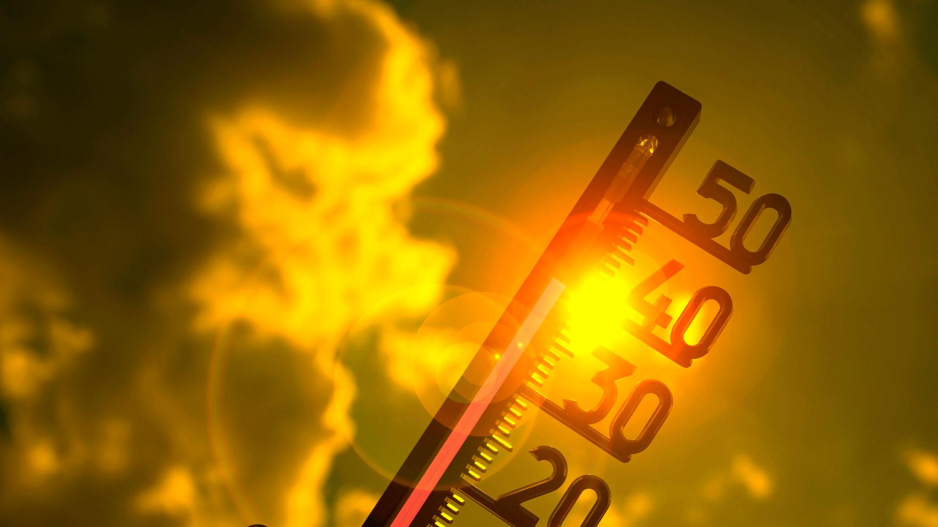Ein Thermometer in der Sonne zeigt 40 Grad Celsius Ein Thermometer in der Sonne zeigt 40 Grad Celsius