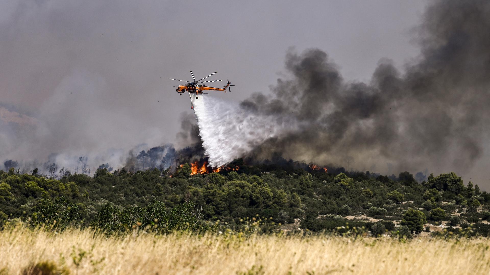 Ein Löschhubschrauber im Einsatz in Dervenochoria nordwestlich von Athen.