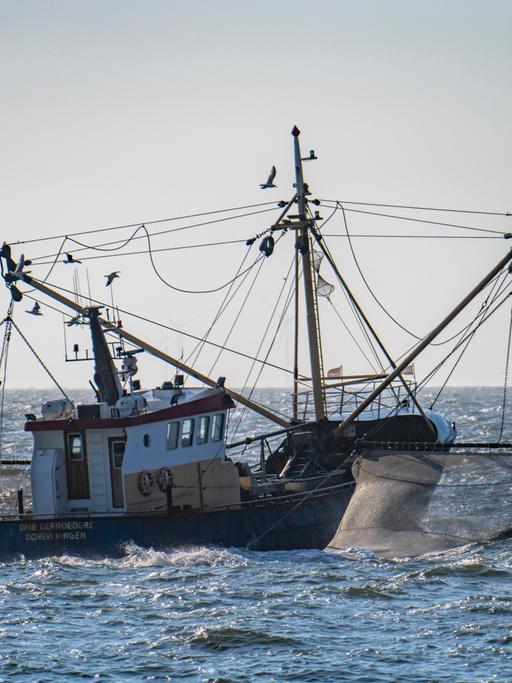Krabbenkutter mit ausgebreiteten Netzen