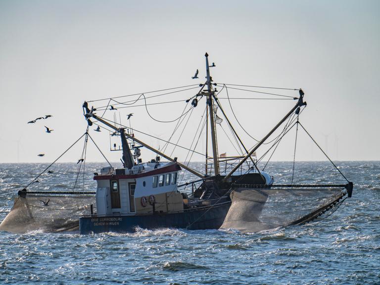 Krabbenkutter mit ausgebreiteten Netzen