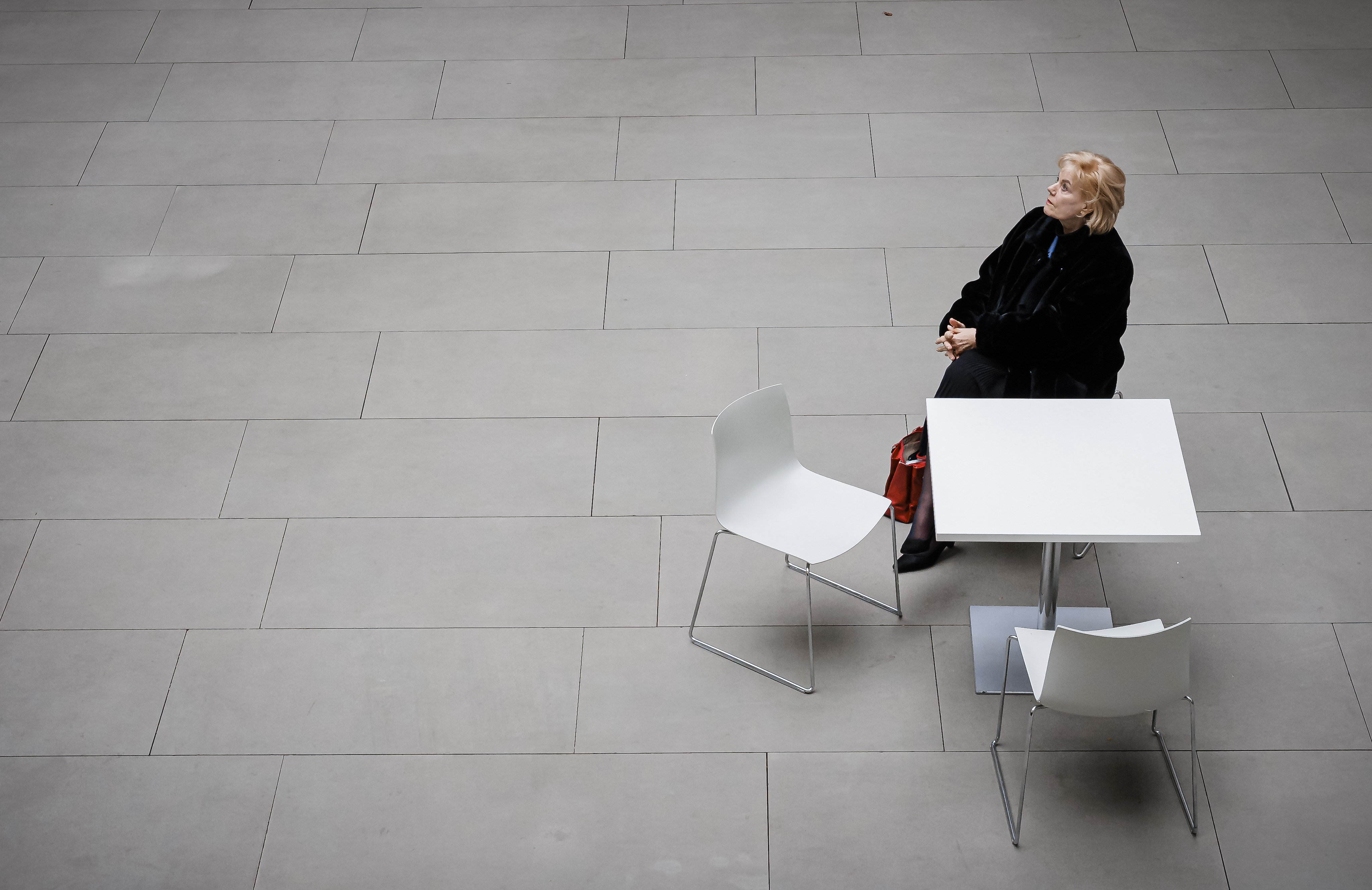 DesideriusErasmusStiftung Streit um staatliche Förderung für AfD