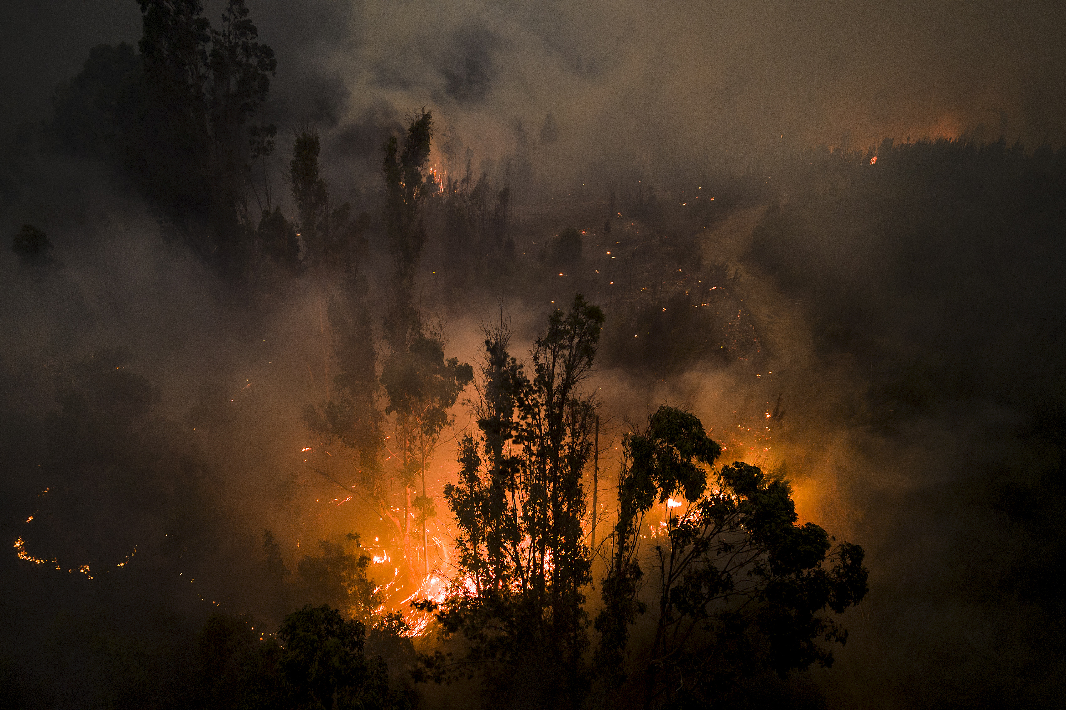 Chile - Zahl der Todesopfer bei Waldbränden steigt auf mindestens 23