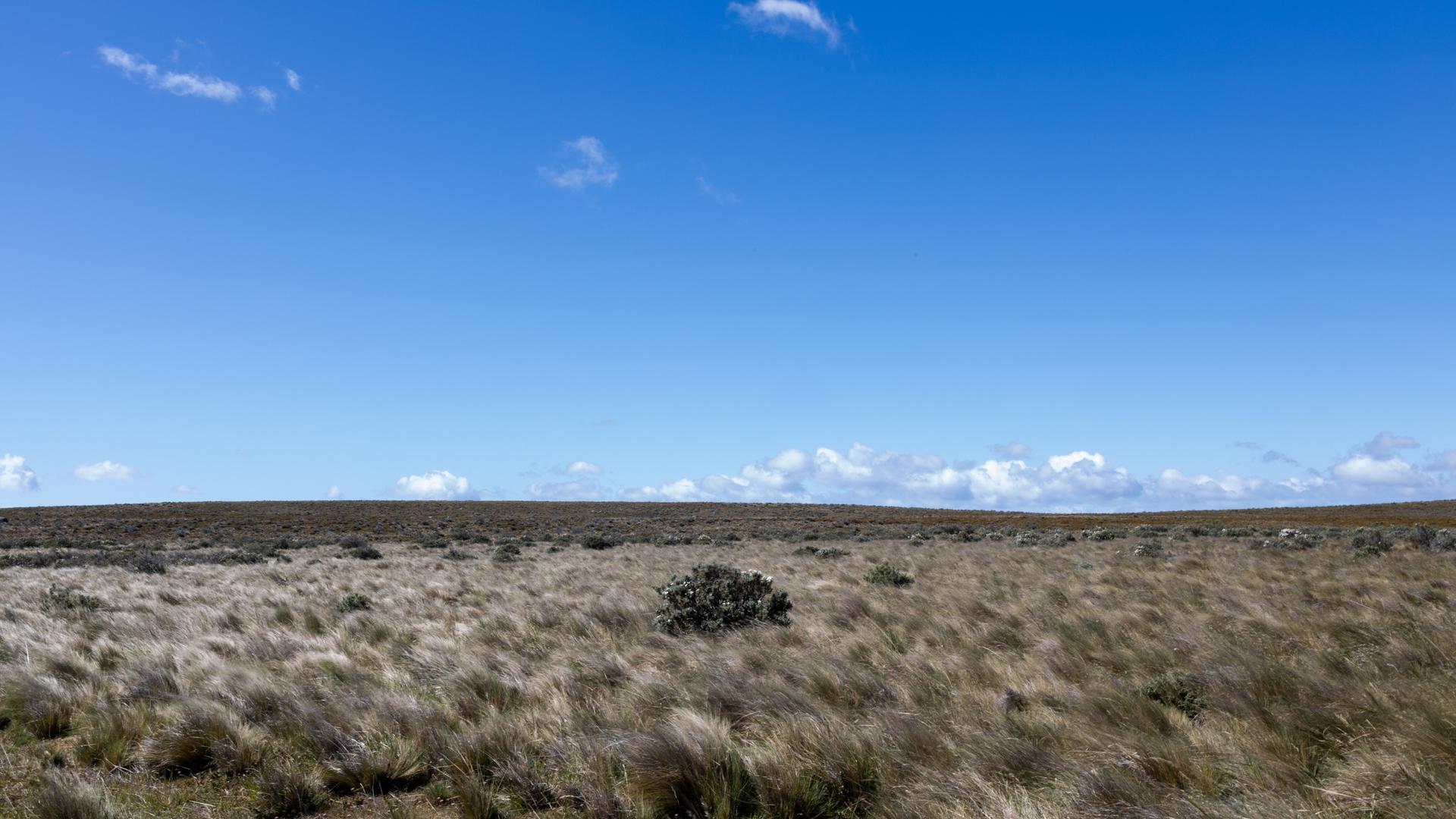 Eine karge Steppenlandschaft vor strahlend blauem Himmel.