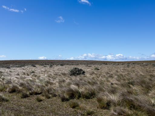 Eine karge Steppenlandschaft vor strahlend blauem Himmel.