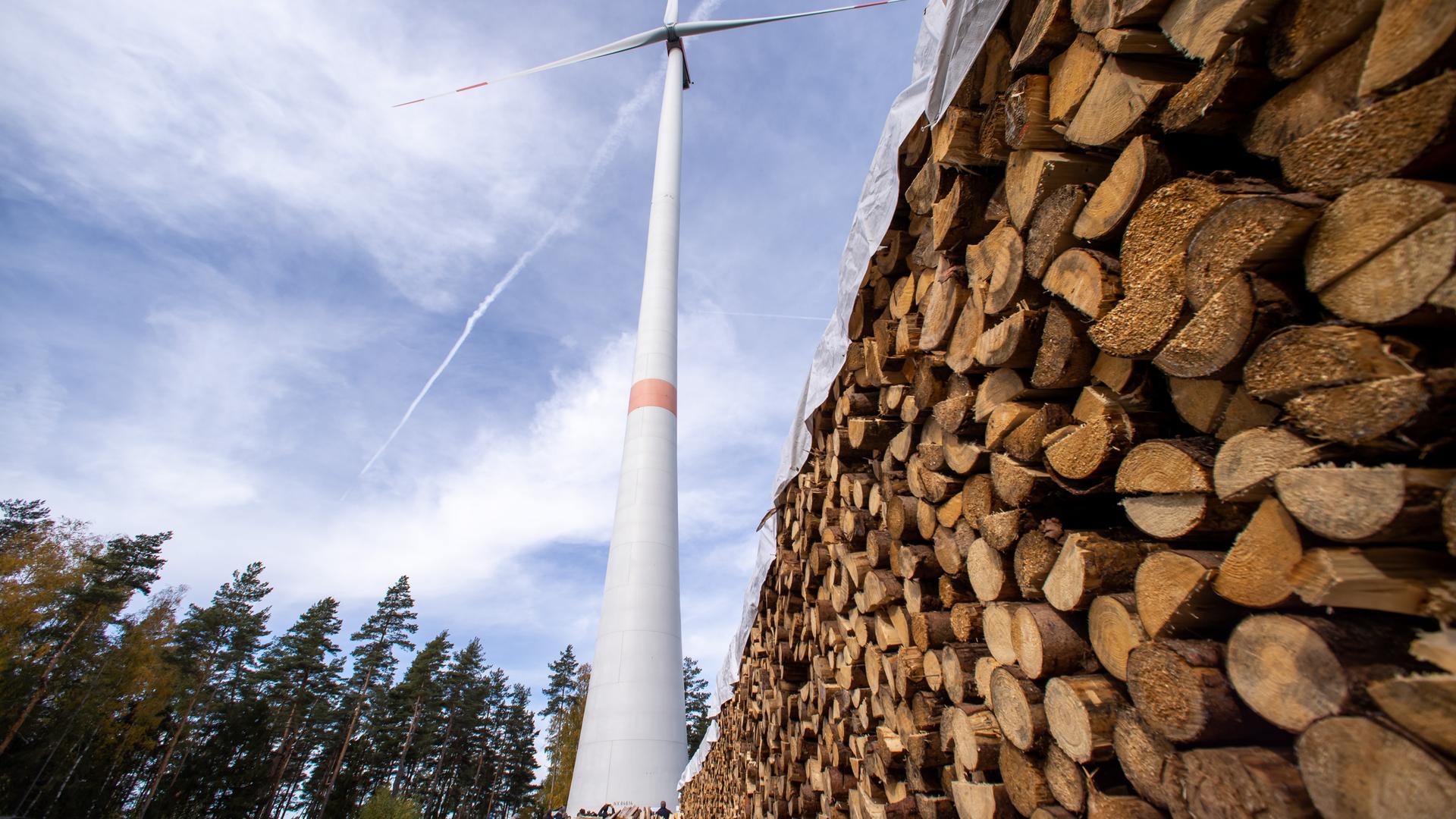 Eine Windkraftanlagen steht auf einer Lichtung im Wald nahe dem Creußener Ortsteil Neuhof. Rechts im Vordergrund sind Baumstämme zum Abtransport gestapelt.