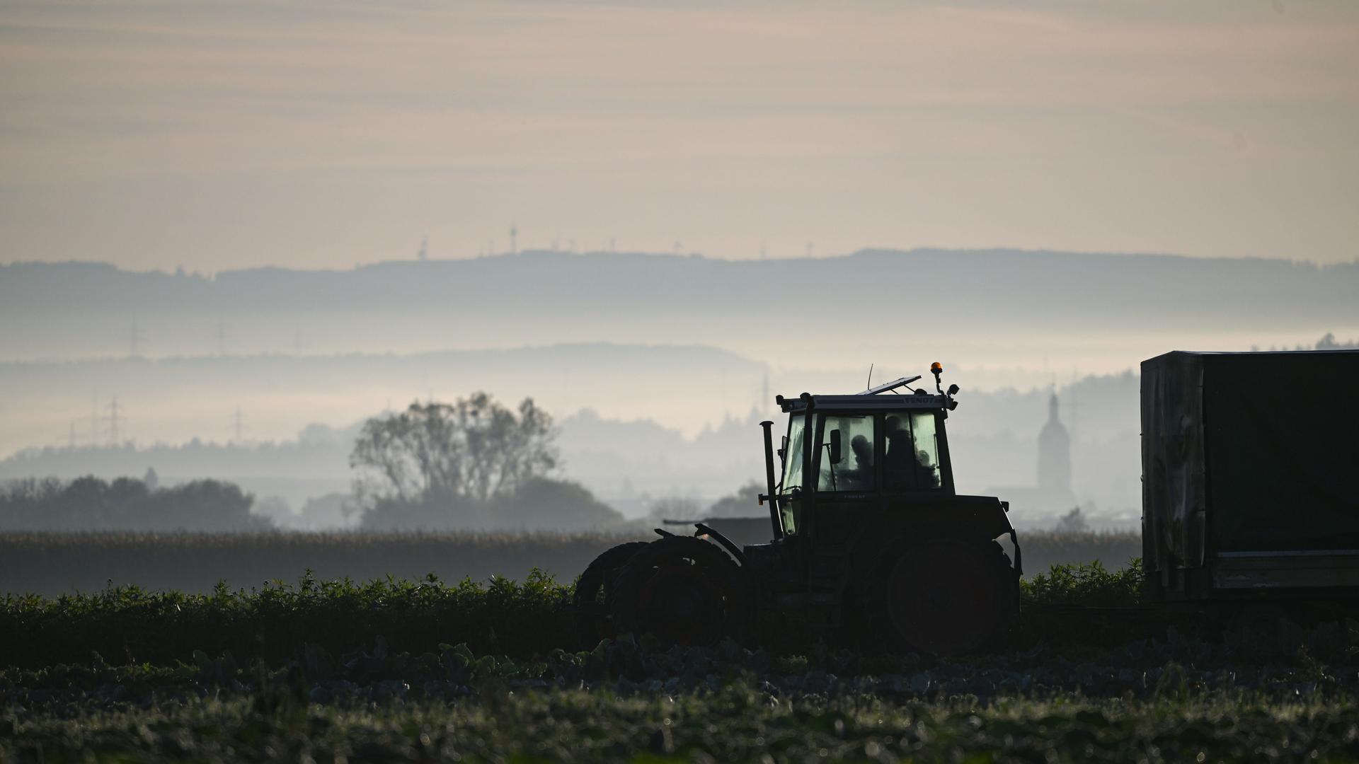 Ein Traktor fährt über einen Feldweg: Landwirte stehen angesichts des Klimawandels vor manchmal schwierigen Entscheidungen
