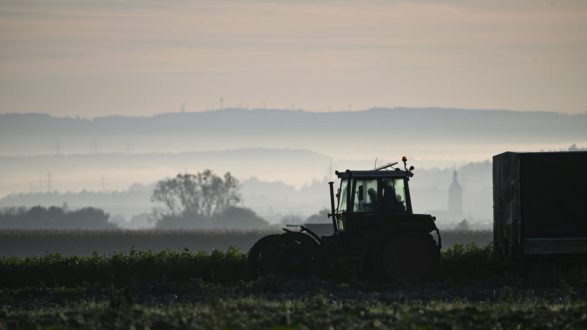 Ein Traktor fährt über einen Feldweg: Landwirte stehen angesichts des Klimawandels vor manchmal schwierigen Entscheidungen Ein Traktor fährt über einen Feldweg: Landwirte stehen angesichts des Klimawandels vor manchmal schwierigen Entscheidungen
