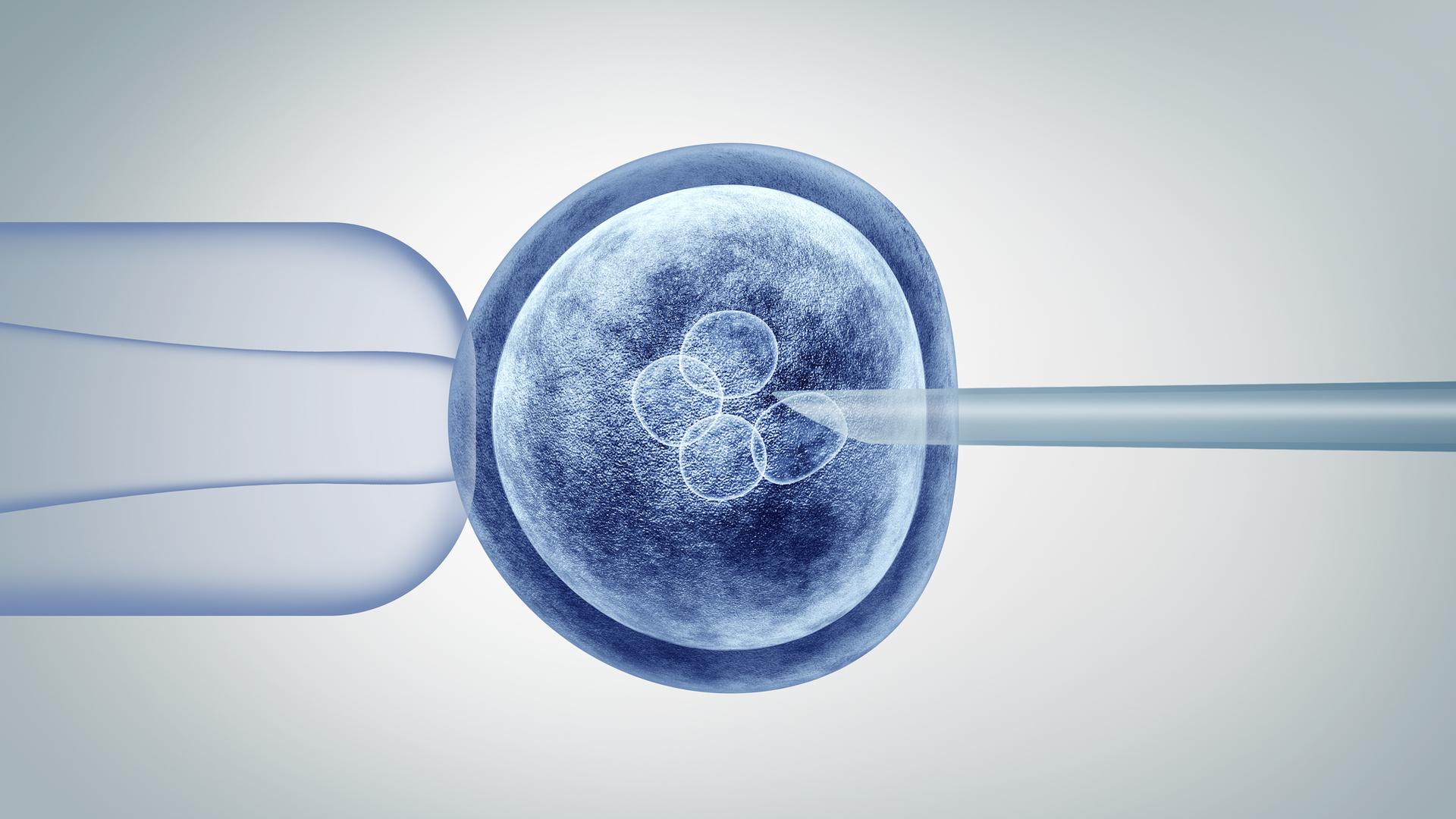 Eine 3D-Illustration des CRISPR-Verfahrens, bei dem eine Spritze in eine Eizelle gesteckt wird.