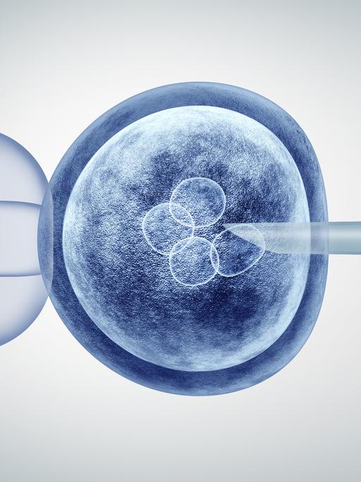 Eine 3D-Illustration des CRISPR-Verfahrens, bei dem eine Spritze in eine Eizelle gesteckt wird.