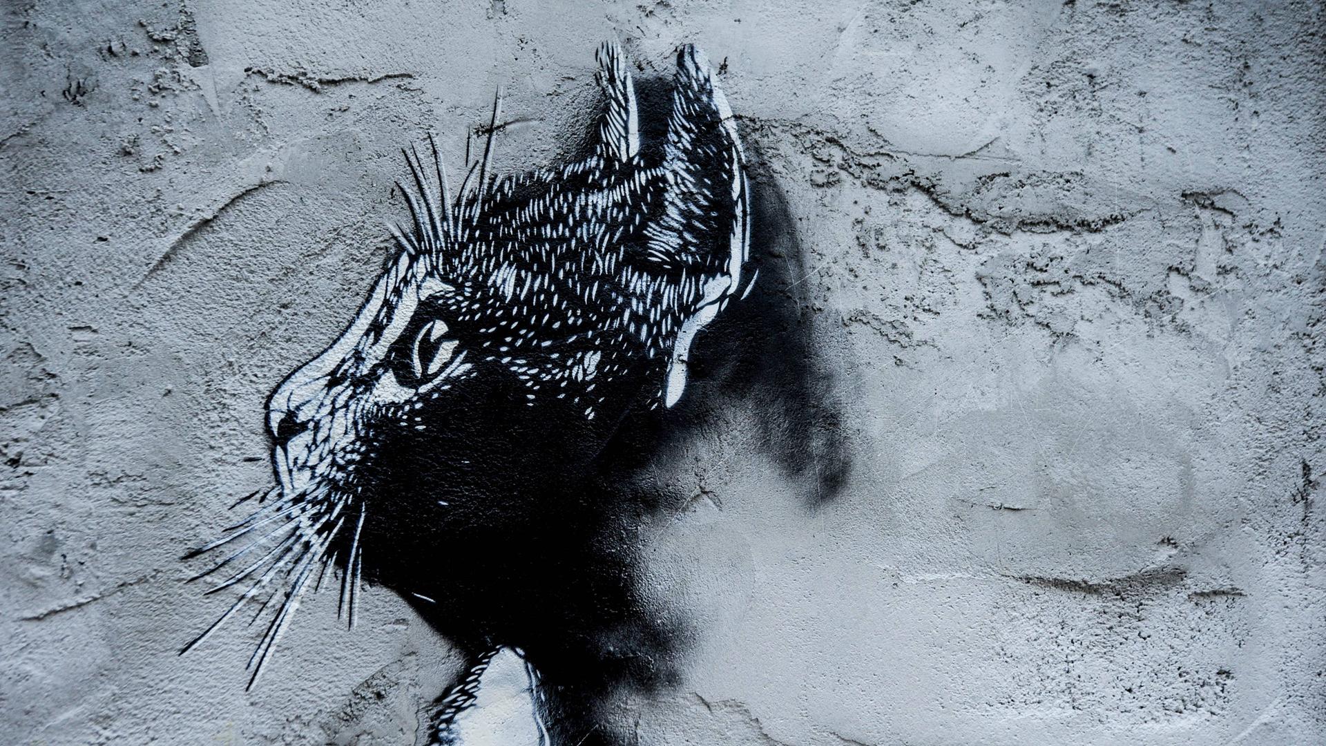 Graffiti bzw. Streetart eines Katzenkopfes auf einer grauen Hausfassade. Graffiti bzw. Streetart eines Katzenkopfes auf einer grauen Hausfassade.