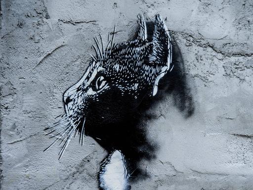 Graffiti bzw. Streetart eines Katzenkopfes auf einer grauen Hausfassade. 