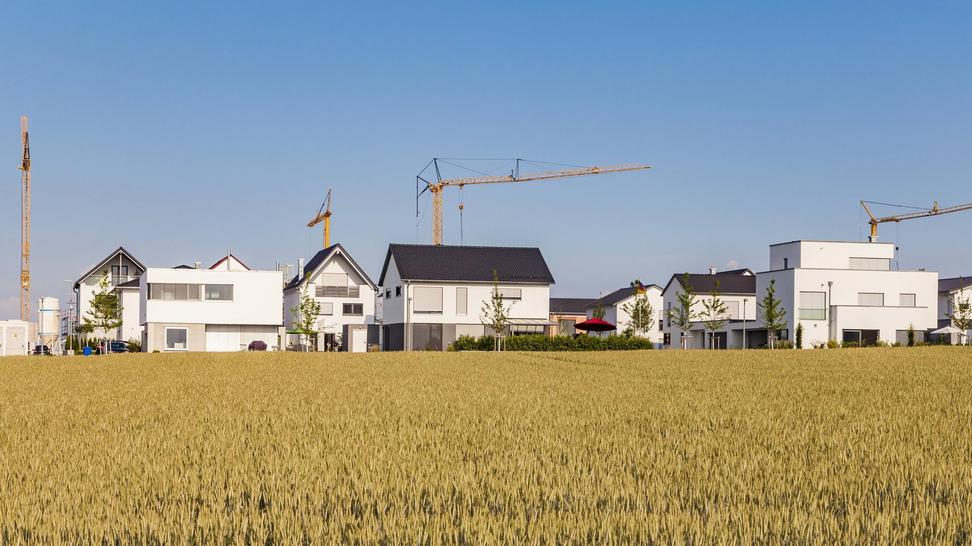 Das Foto zeigt ein Neubaugebiet im Ulmer Stadtteil Lehr: Hinter einem ländlichen Feld sind Einfamilienhäuser zu sehen, dahinter stehen Baukräne. Das Foto zeigt ein Neubaugebiet im Ulmer Stadtteil Lehr: Hinter einem ländlichen Feld sind Einfamilienhäuser zu sehen, dahinter stehen Baukräne.