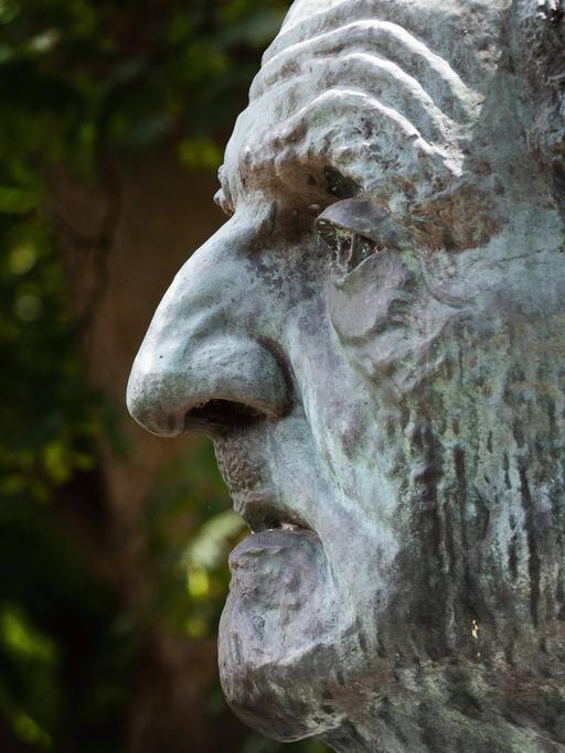 Profil des Kopfes einer Statue. Sie zeigt den Komponisten Anton Bruckner und steht in Linz.