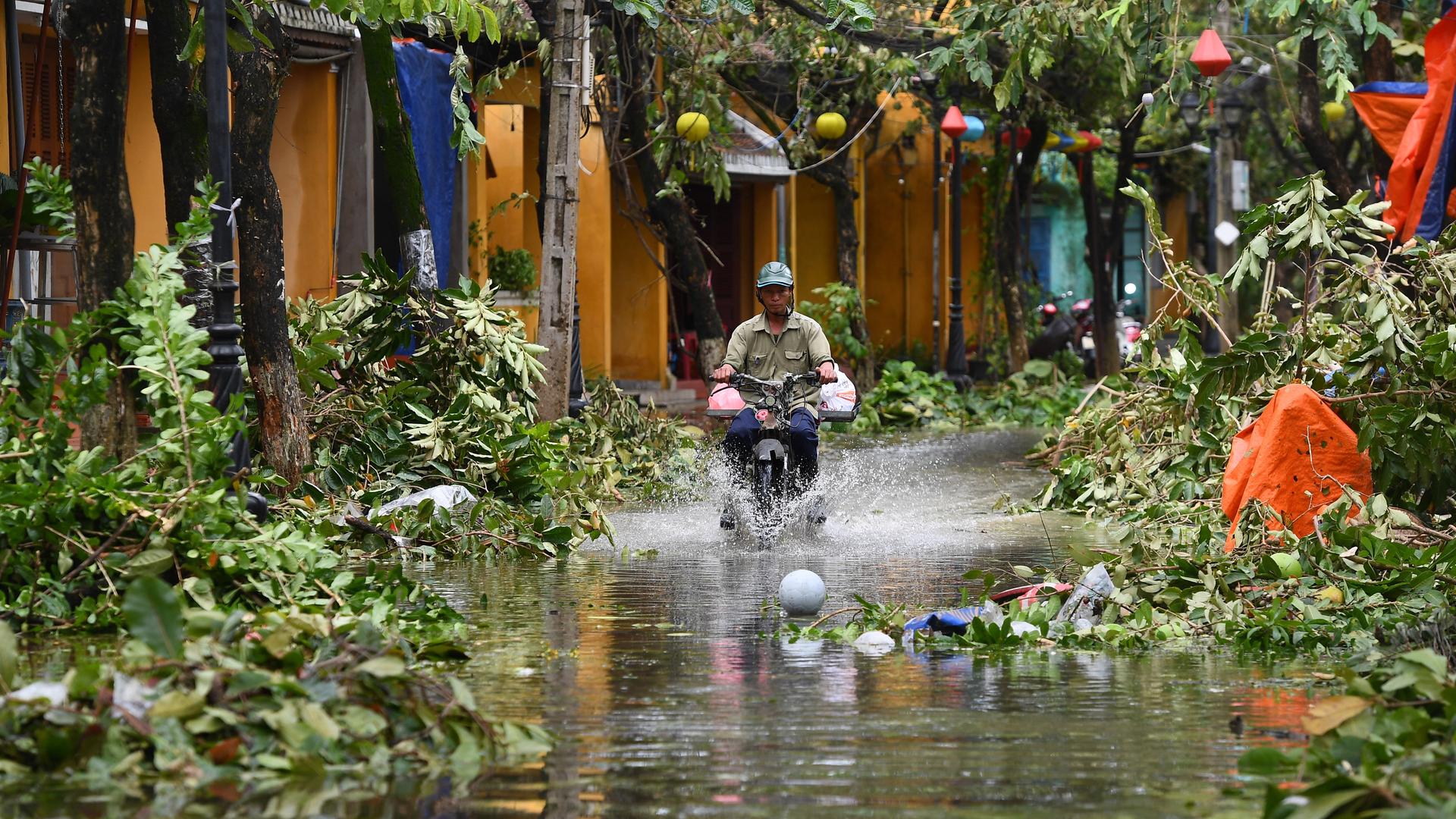 Ein Mopedfahrer fährt duch eine überflutete Straße, die von herabgestürzten Ästen gesäumt ist. 