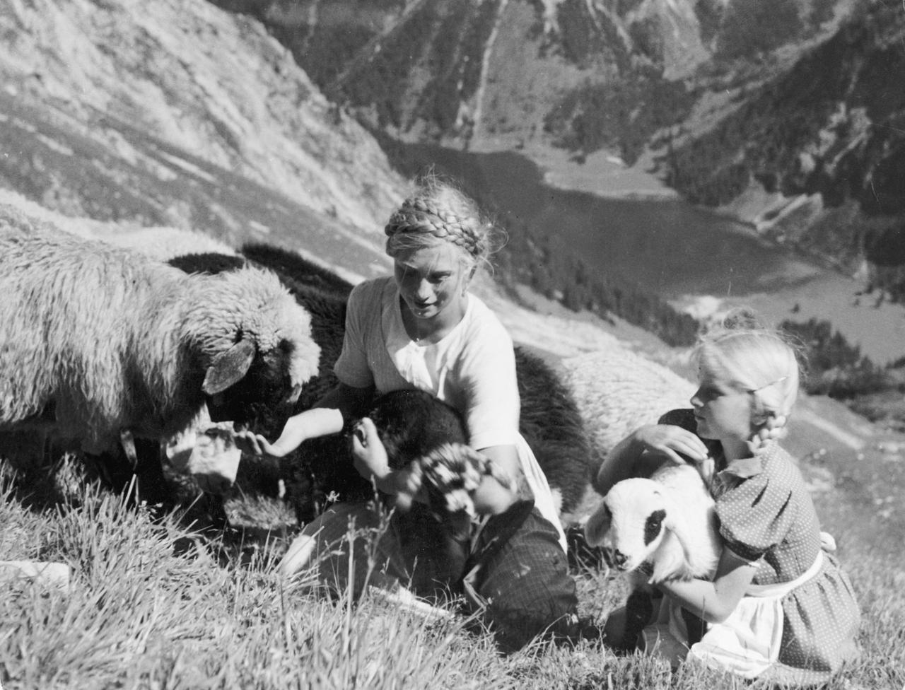 Historische Aufnahme zweier blonder Mädchen mit Zöpfen an einer Bergweide mit Schafen.