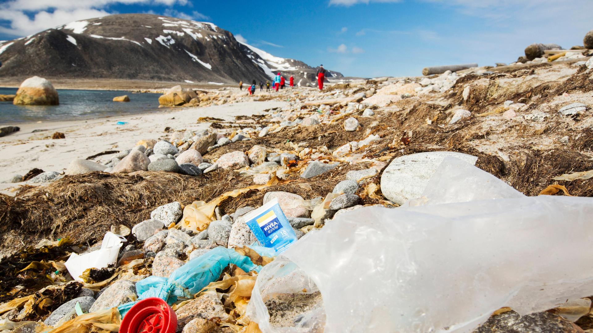 Plastikmüll in der Arktis