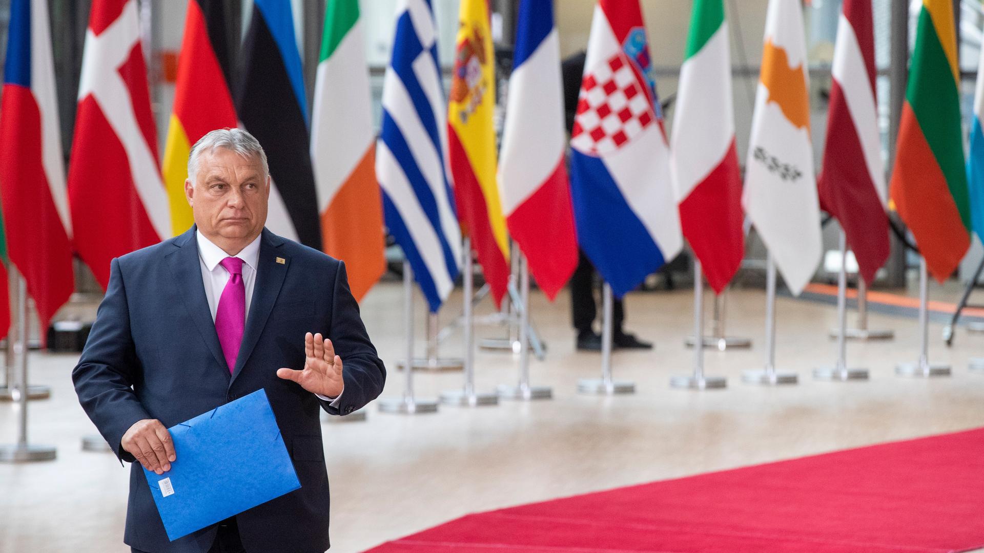 Ungarns Ministerpräsident Viktor Orbán läuft über einen roten Teppich in Brüssel und hebt die Hand Ungarns Ministerpräsident Viktor Orbán läuft über einen roten Teppich in Brüssel und hebt die Hand