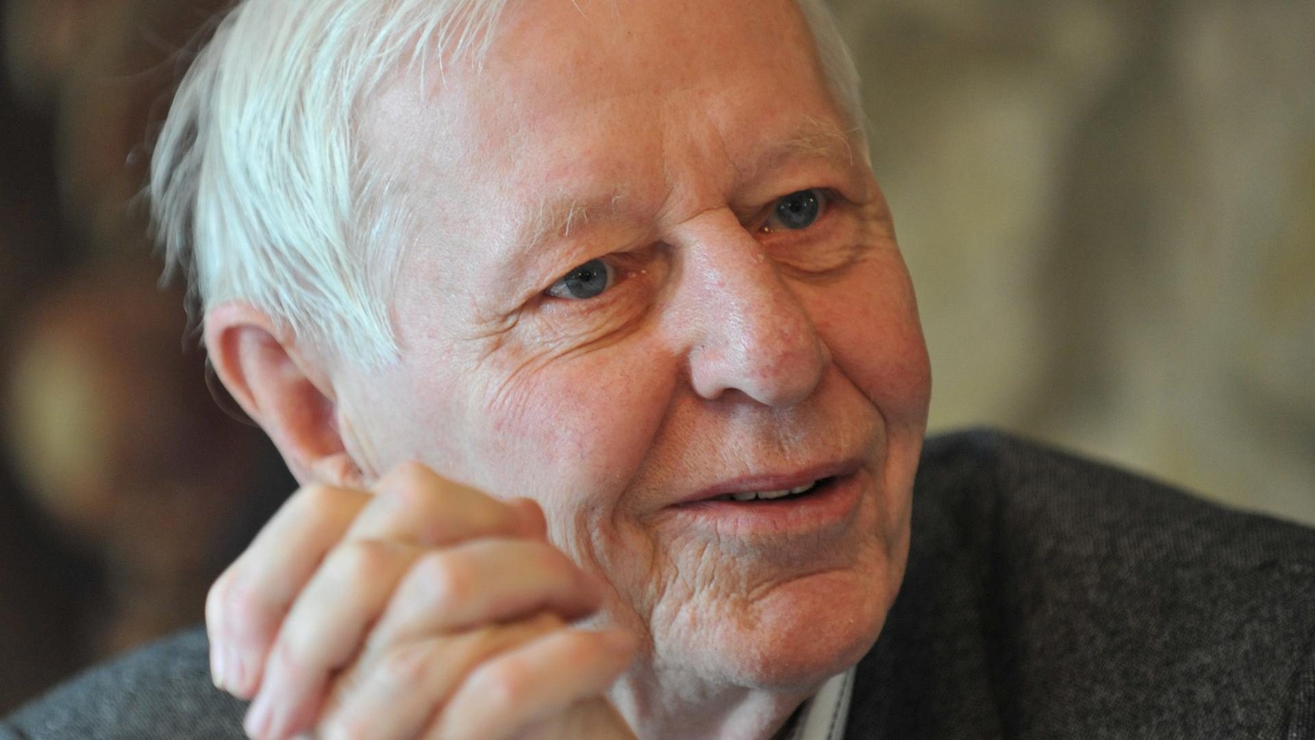 Der Schriftsteller Hans Magnus Enzensberger. Der Schriftsteller Hans Magnus Enzensberger.