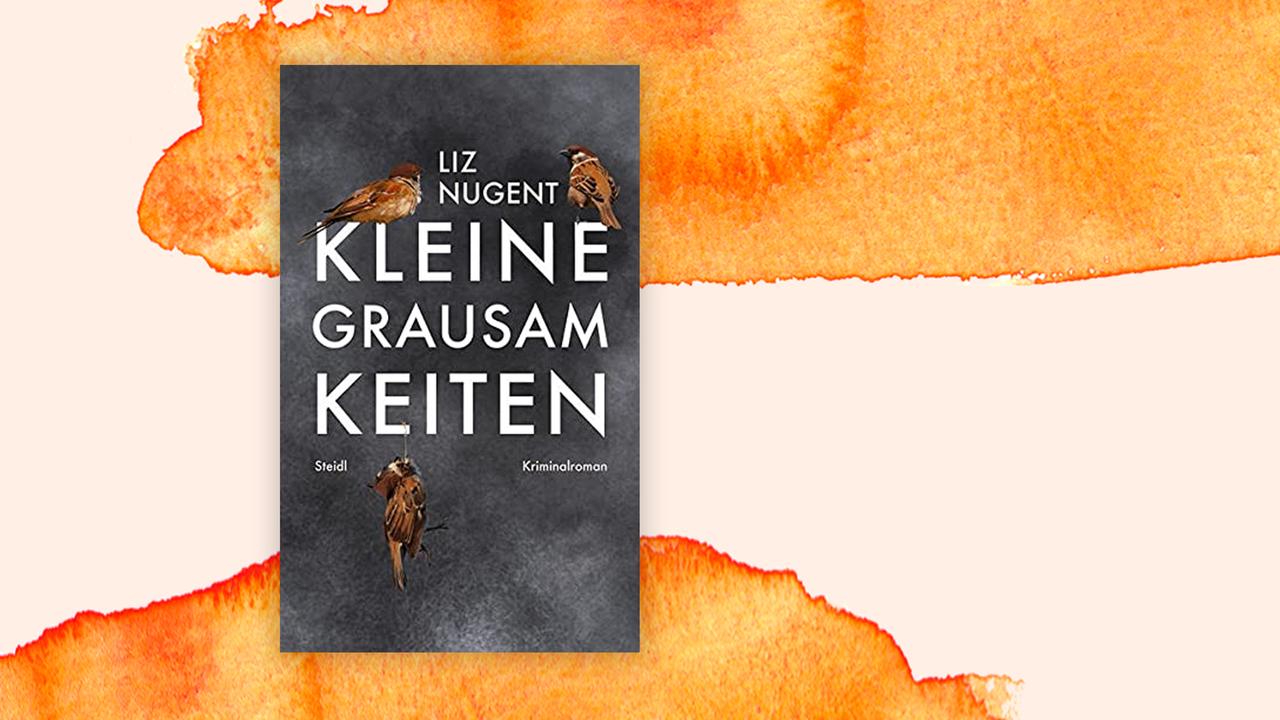 Buchcover "Kleine Grausamkeiten" von Liz Nugent auf orange-rotem grafischen Hintergrund.
