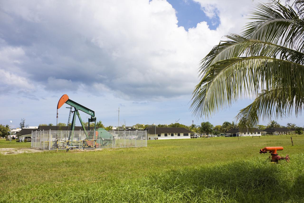 Eine Ölpumpe mitten in einer grünen Landschaft mit einer Palme. 