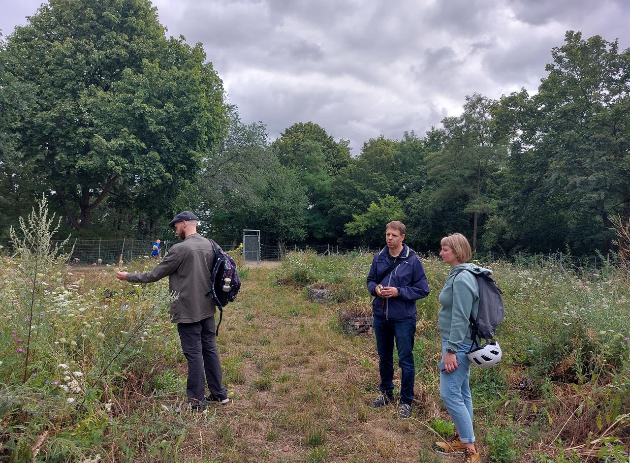 Oliver Voge, Leiter des Sachgebiets Natur- und Landschaftsschutz beim Bezirksamt Friedrichshain-Kreuzberg, und Mitarbeitende auf einer Wildwiese am kleinen Bunkerberg im Volkspark Friedrichshain Oliver Voge, Leiter des Sachgebiets Natur- und Landschaftsschutz beim Bezirksamt Friedrichshain-Kreuzberg, und Mitarbeitende auf einer Wildwiese am kleinen Bunkerberg im Volkspark Friedrichshain