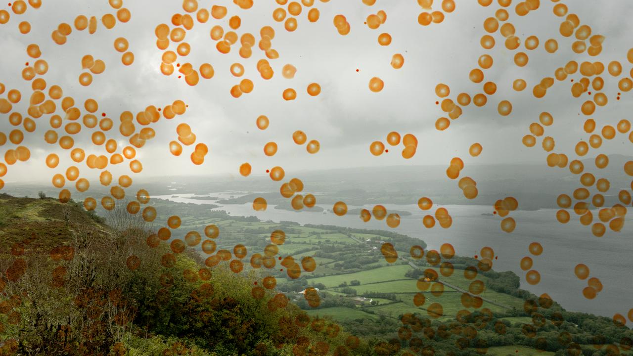 Blick auf grüne Hügel und eine Seenplatte. Das Foto wird von einer Grafik aus orangen Punkten überlagert. Blick auf grüne Hügel und eine Seenplatte. Das Foto wird von einer Grafik aus orangen Punkten überlagert.