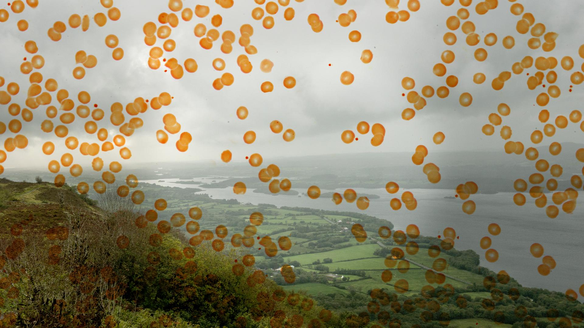 Blick auf grüne Hügel und eine Seenplatte. Das Foto wird von einer Grafik aus orangen Punkten überlagert. Blick auf grüne Hügel und eine Seenplatte. Das Foto wird von einer Grafik aus orangen Punkten überlagert.