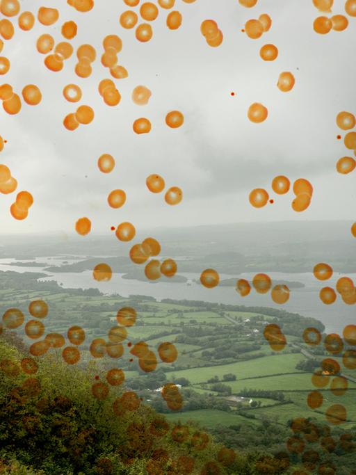 Blick auf grüne Hügel und eine Seenplatte. Das Foto wird von einer Grafik aus orangen Punkten überlagert.