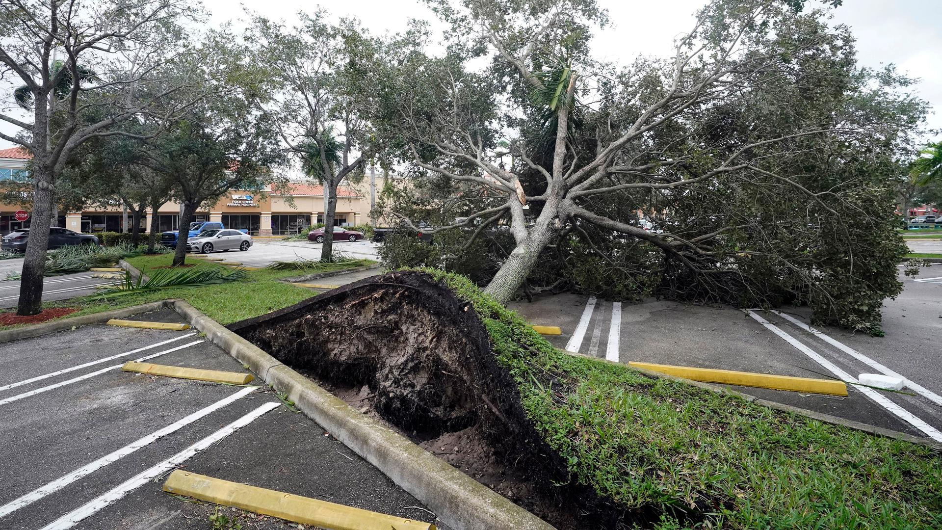 Hurrikan "Ian" - Zwei Millionen Haushalte in Florida ohne Strom