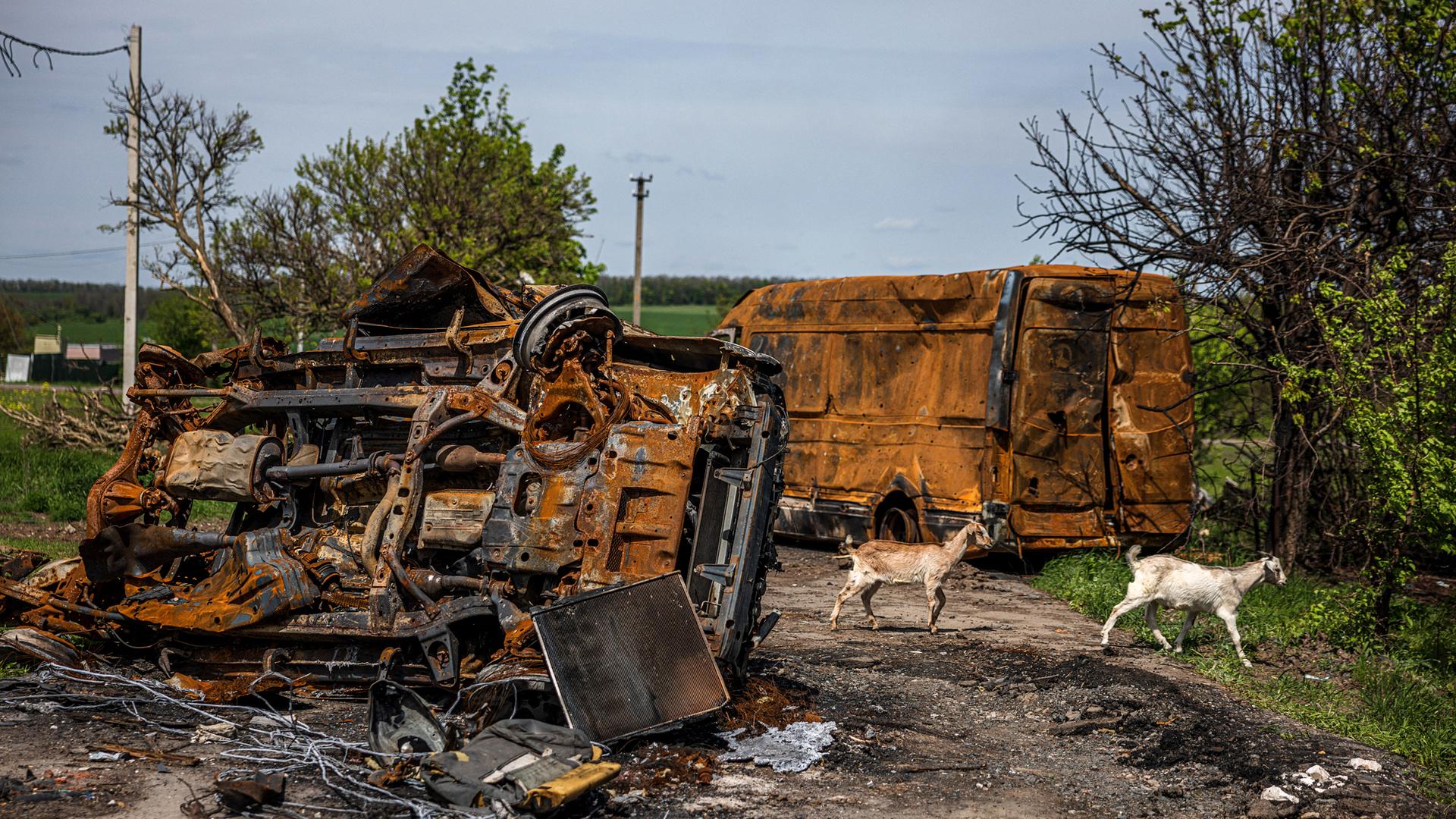 Ukraine-Krieg - Tote bei Gefechten im Osten des Landes, Zivilisten kommen bei Flucht kaum voran