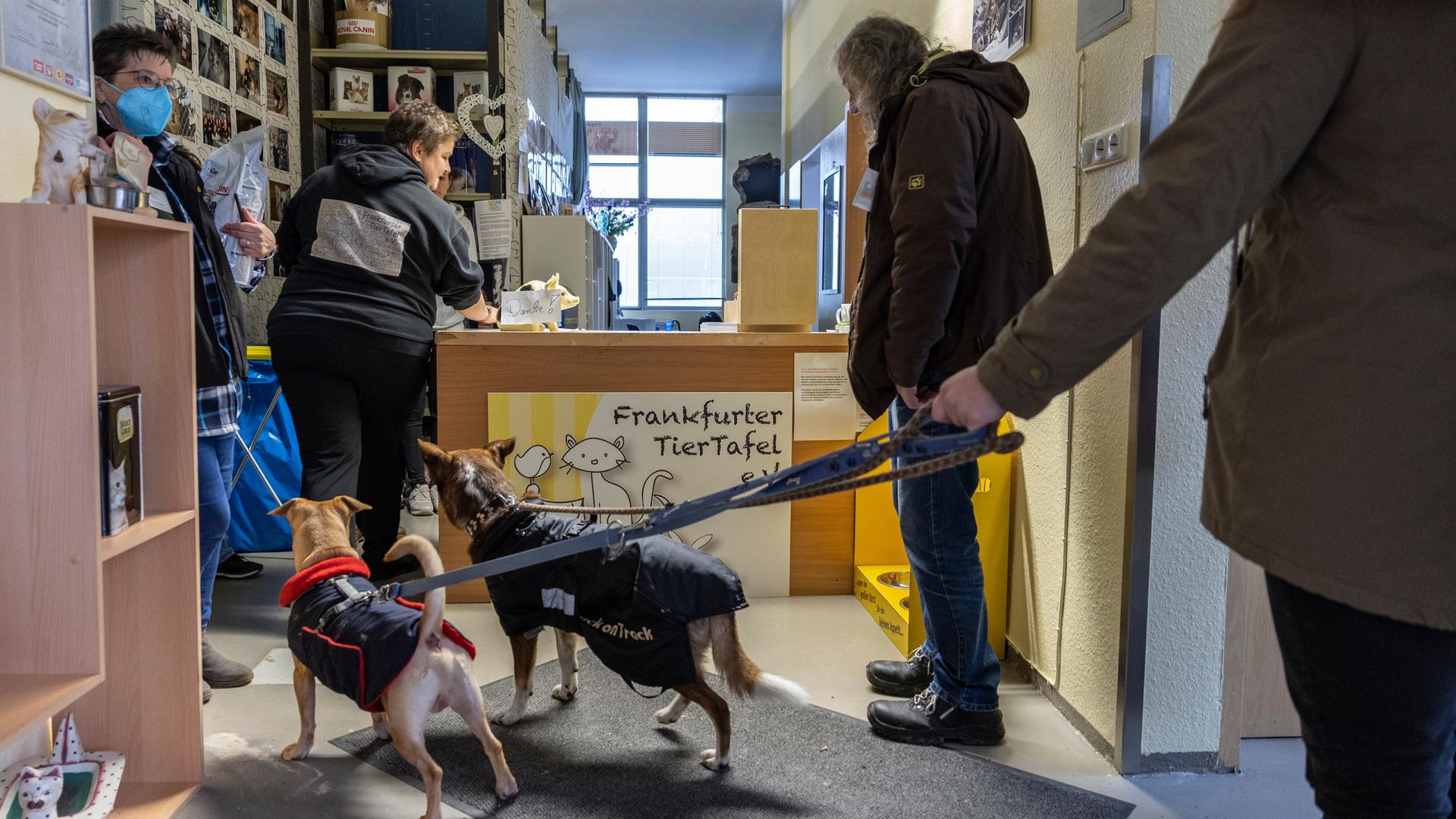 Frankfurt/Main: Zwei Hunde beobachten das Geschehen im Ausgabebereich in der Frankfurter Tiertafel.