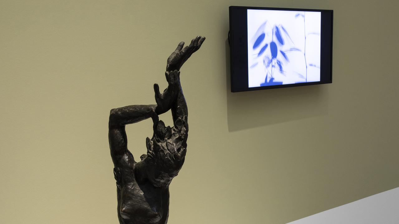 Sculpture and screen with a picture of plants - installation view from the exhibition "Green modernity.  The new view of plants"Museum Ludwig, Cologne 2022