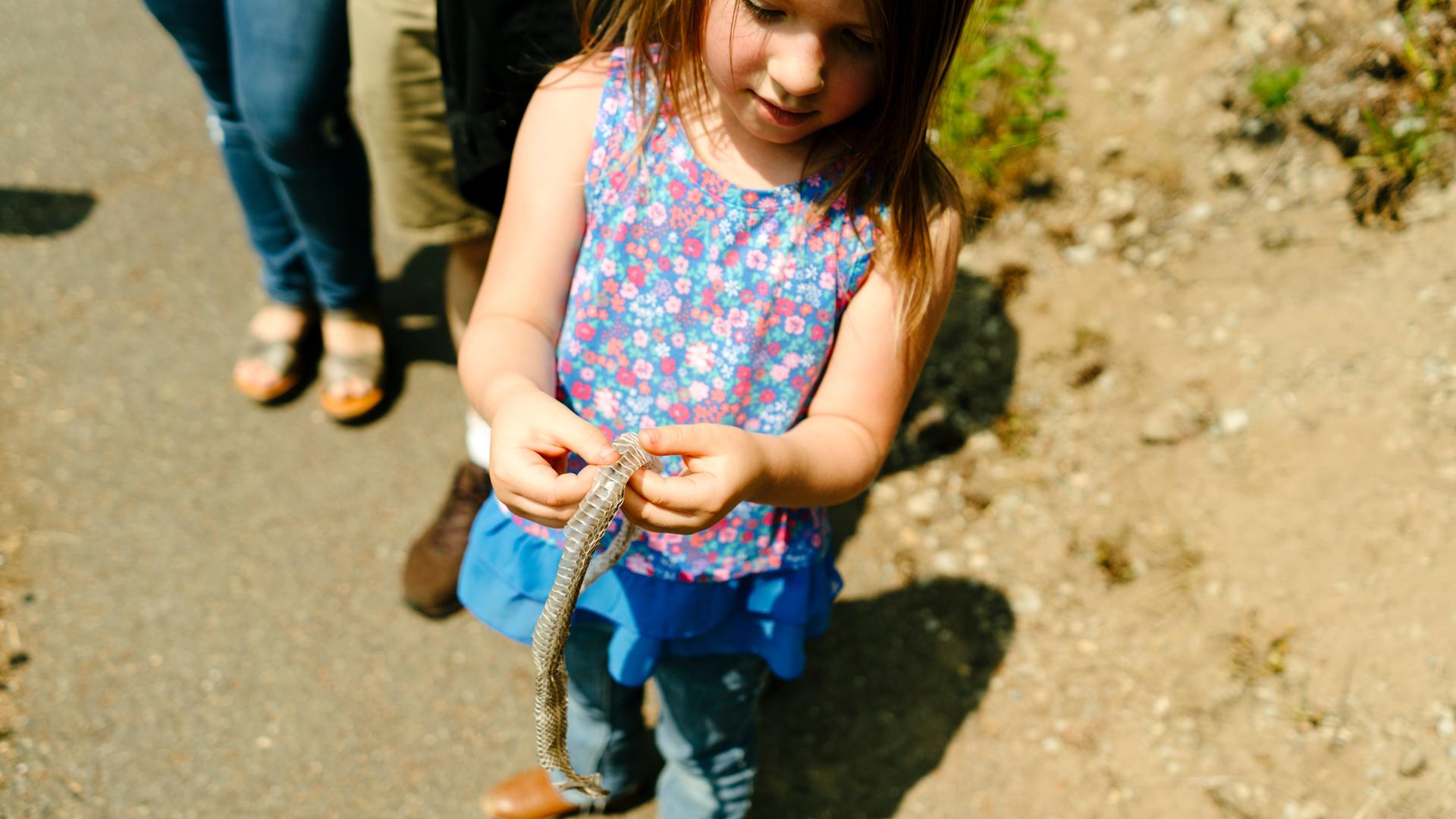 Ein Kind in sommerlicher Kleidung hält eine gelöste Schlangenhaut in den Händen, die es gefunden hat.