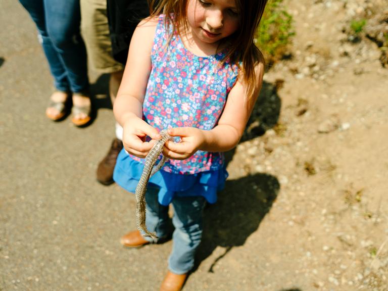 Ein Kind in sommerlicher Kleidung hält eine gelöste Schlangenhaut in den Händen, die es gefunden hat.