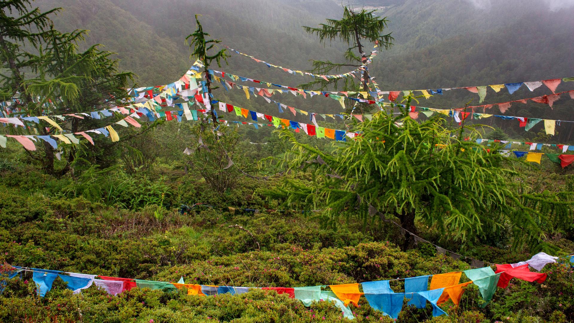 Bunte buddhistische Gebetsfahnen hängen zwischen Bäumen im Himalaya-Gebirge in Bhutan.