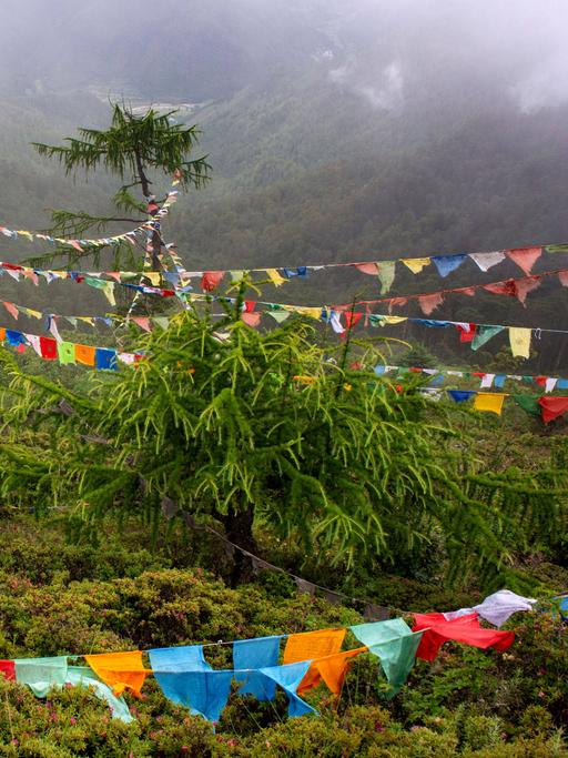 Bunte buddhistische Gebetsfahnen hängen zwischen Bäumen im Himalaya Gebirge in Bhutan.