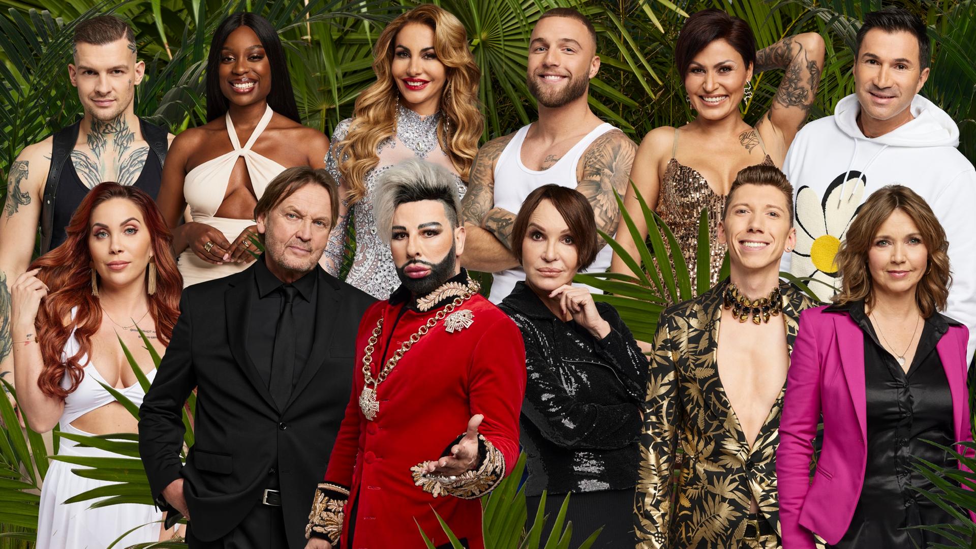 Die zwölf Kandidatinnen und Kandidaten des RTL "Dschungelcamps" nehmen in zwei Reihen Aufstellung vor grünen Palmwedeln. Die zwölf Kandidatinnen und Kandidaten des RTL "Dschungelcamps" nehmen in zwei Reihen Aufstellung vor grünen Palmwedeln.