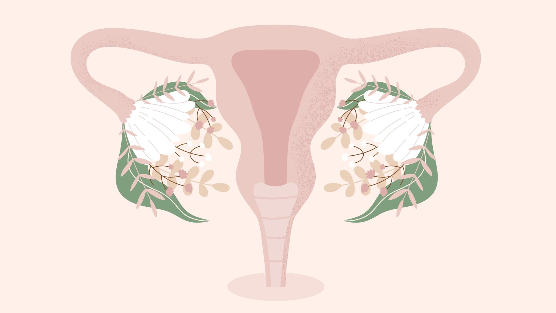 Menopause: „Wir verwechseln Fruchtbarkeit mit Weiblichkeit“