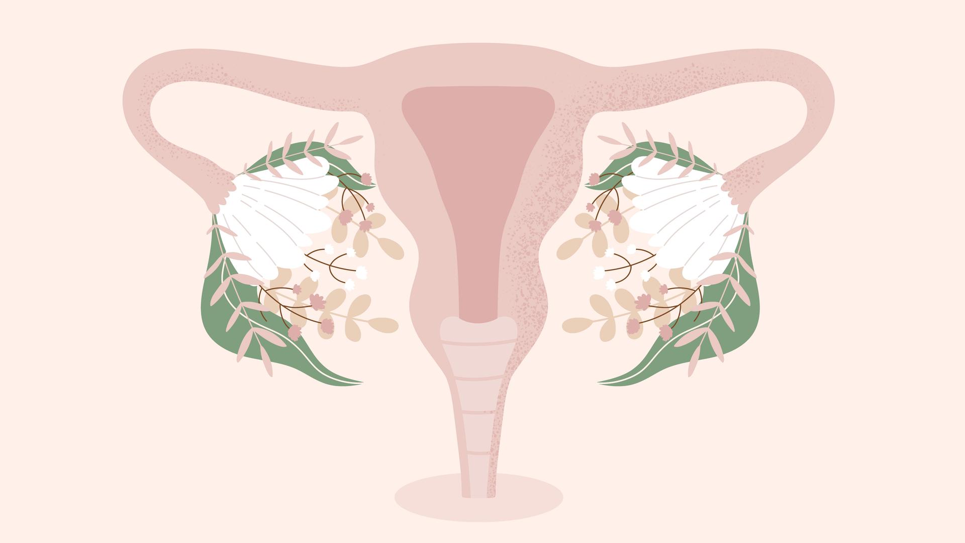 Menopause: „Wir verwechseln Fruchtbarkeit mit Weiblichkeit“