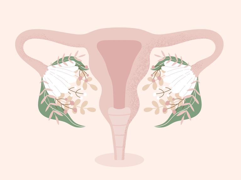 Illustration der weiblichen Uterus mit blühenden Blumen statt Eierstöcken.