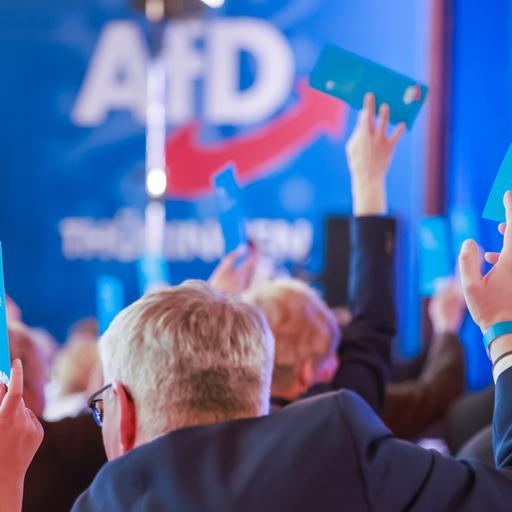 Mitglieder stimmen beim Landesparteitag der Alternative für Deutschland im Hotel Pfiffelburg in Thüringen über die Tagesordnung ab.