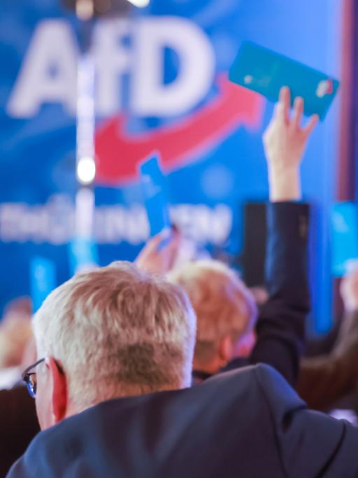 Mitglieder stimmen beim Landesparteitag der Alternative für Deutschland im Hotel Pfiffelburg in Thüringen über die Tagesordnung ab. 