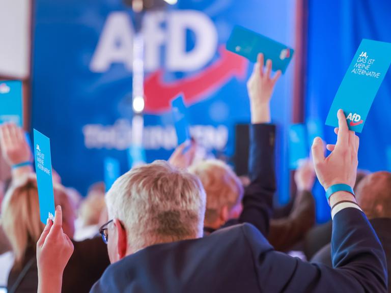 Mitglieder stimmen beim Landesparteitag der Alternative für Deutschland im Hotel Pfiffelburg in Thüringen über die Tagesordnung ab. 