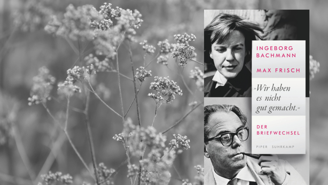 Das Buchcover von Max Frisch/Ingeborg Bachmann: „Wir haben es nicht gut gemacht“. Der Briefwechsel vor einem schwarz-weißen Naturhintergrund