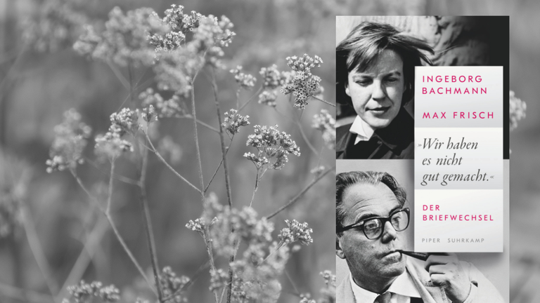 Das Buchcover von Max Frisch/Ingeborg Bachmann: „Wir haben es nicht gut gemacht“. Der Briefwechsel vor einem schwarz-weißen Naturhintergrund Das Buchcover von Max Frisch/Ingeborg Bachmann: „Wir haben es nicht gut gemacht“. Der Briefwechsel vor einem schwarz-weißen Naturhintergrund