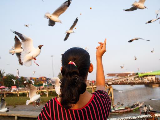  Rear view of women flying birds. Zu sehen: eine Frau mit dem Rücken zur Kamera in einem schwarz-rot längsgestreiften Kleid füttert auf einem Platz Vögel