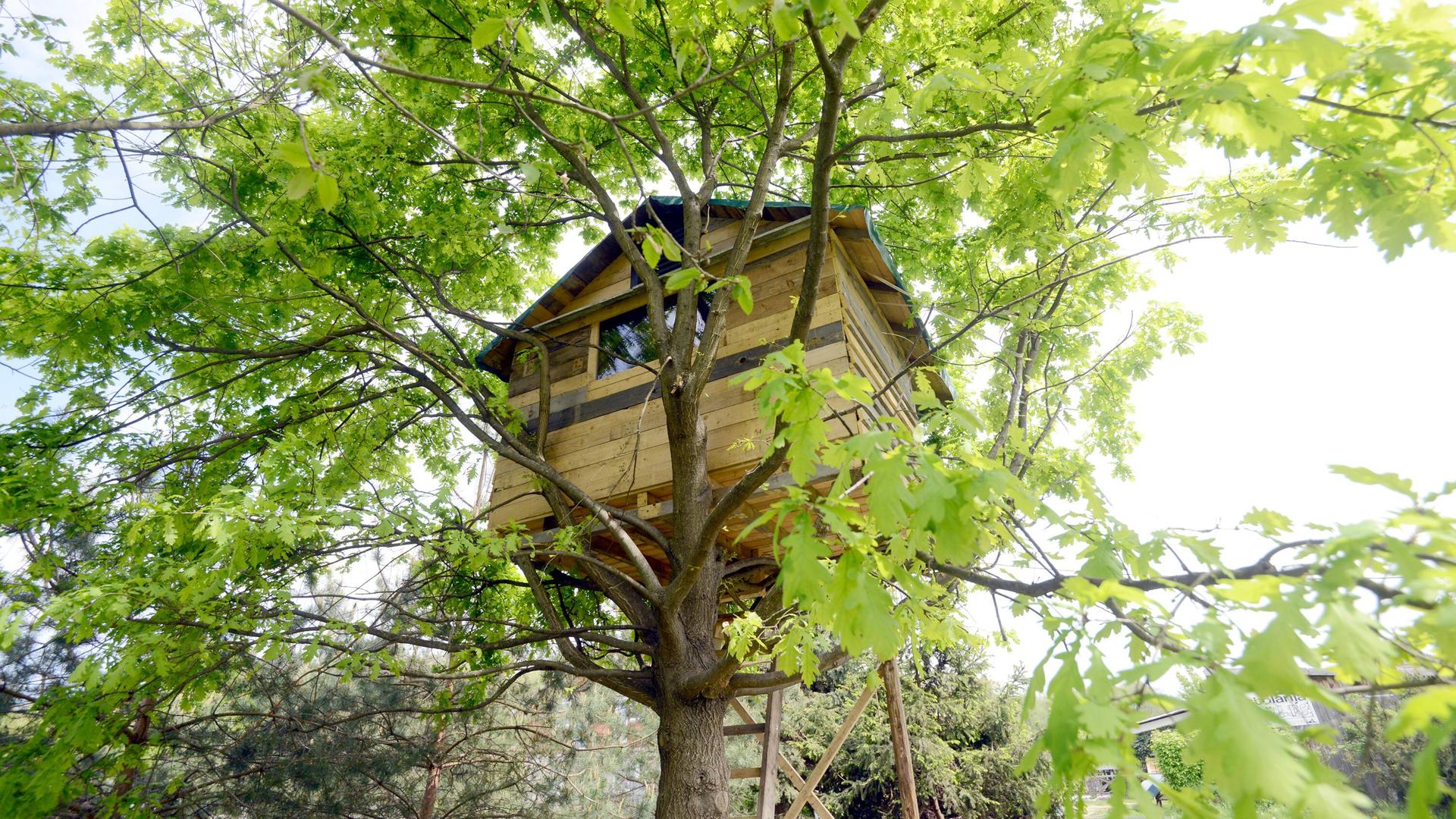 Zu sehen ist ein Baumhaus. Zu sehen ist ein Baumhaus.