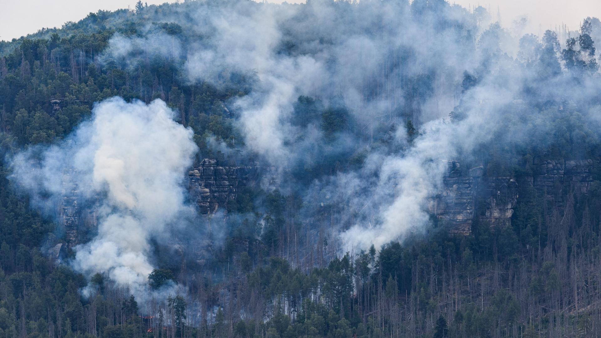 Rauch steigt auf über dem Nationalpark Sächsische Schweiz Rauch steigt auf über dem Nationalpark Sächsische Schweiz
